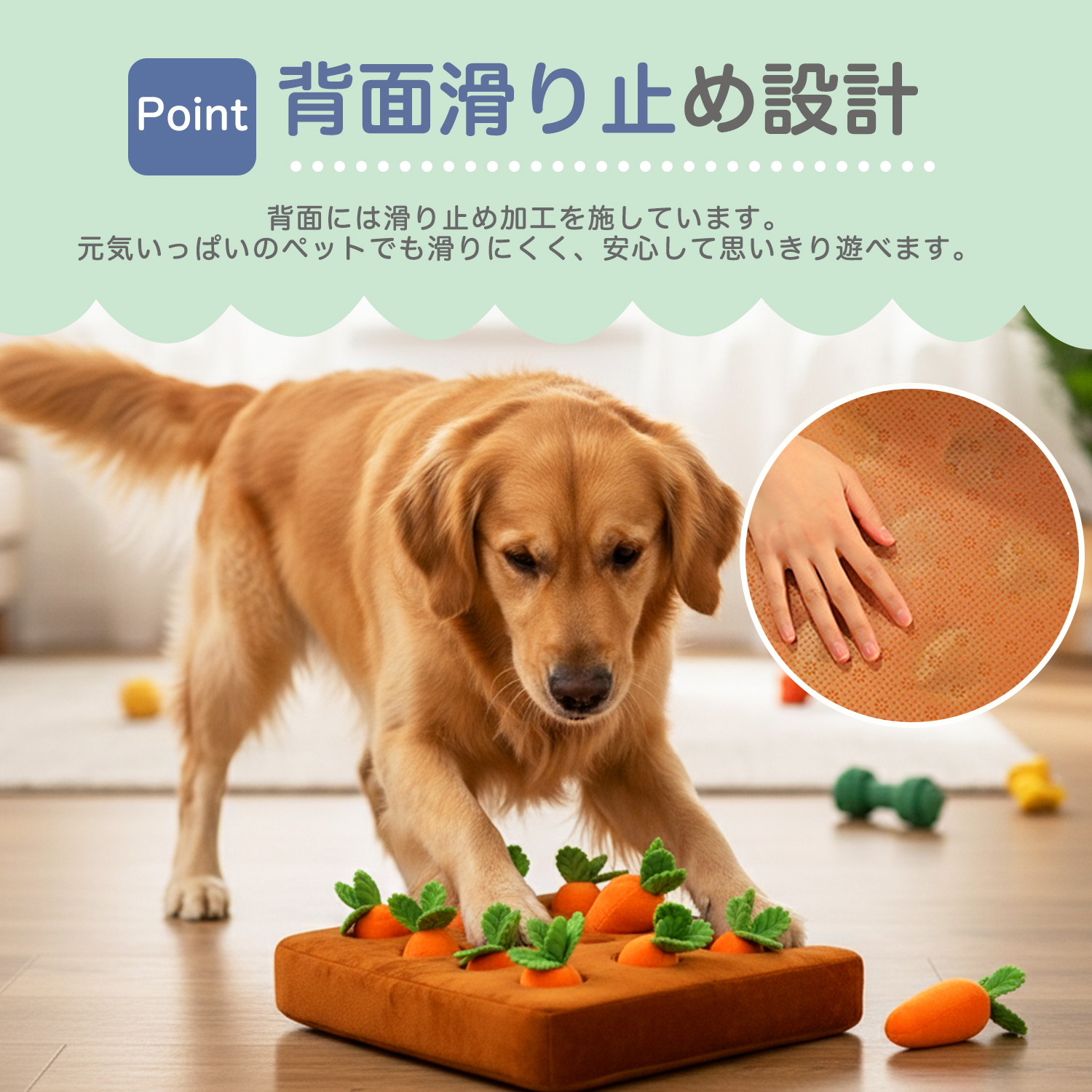 ビションフリーゼ犬 ビション ダックスンド ノーズワーク にんじん畑