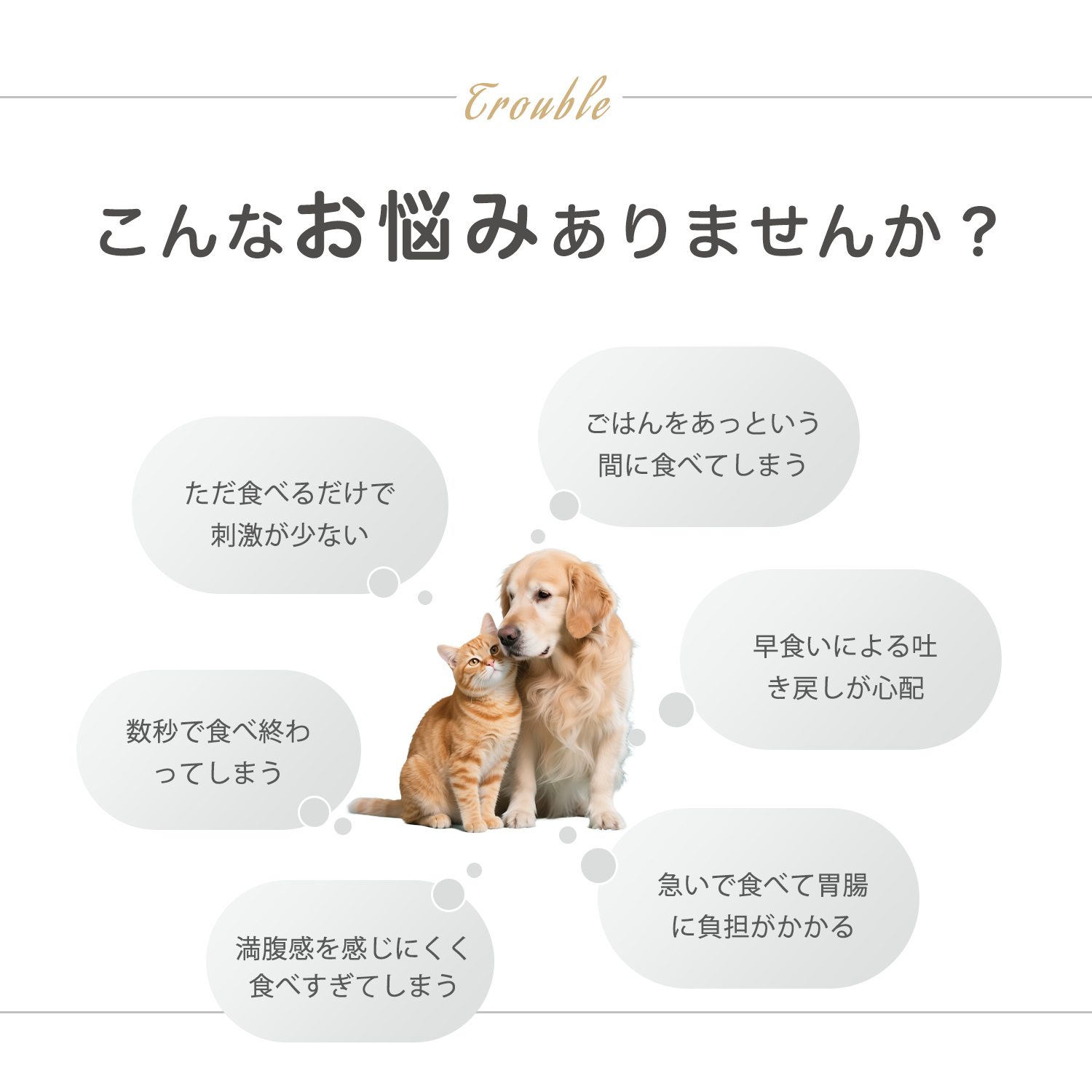 ダックスフンド犬種 ダックス 高台ペットフードボウル 傾斜設計 吐き