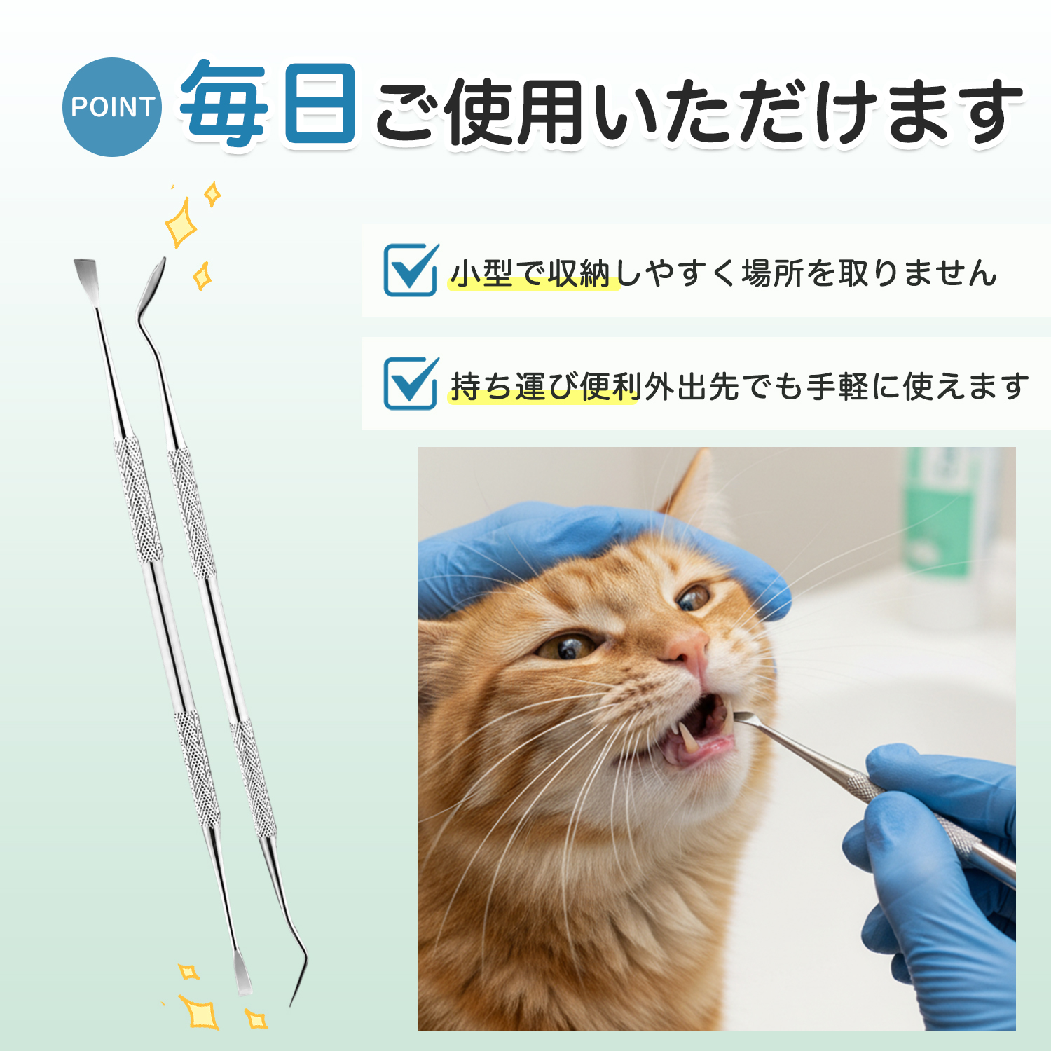 秋田犬種 秋田 犬 歯石取り スケーラー 犬用 2本セット 自宅 猫 歯垢