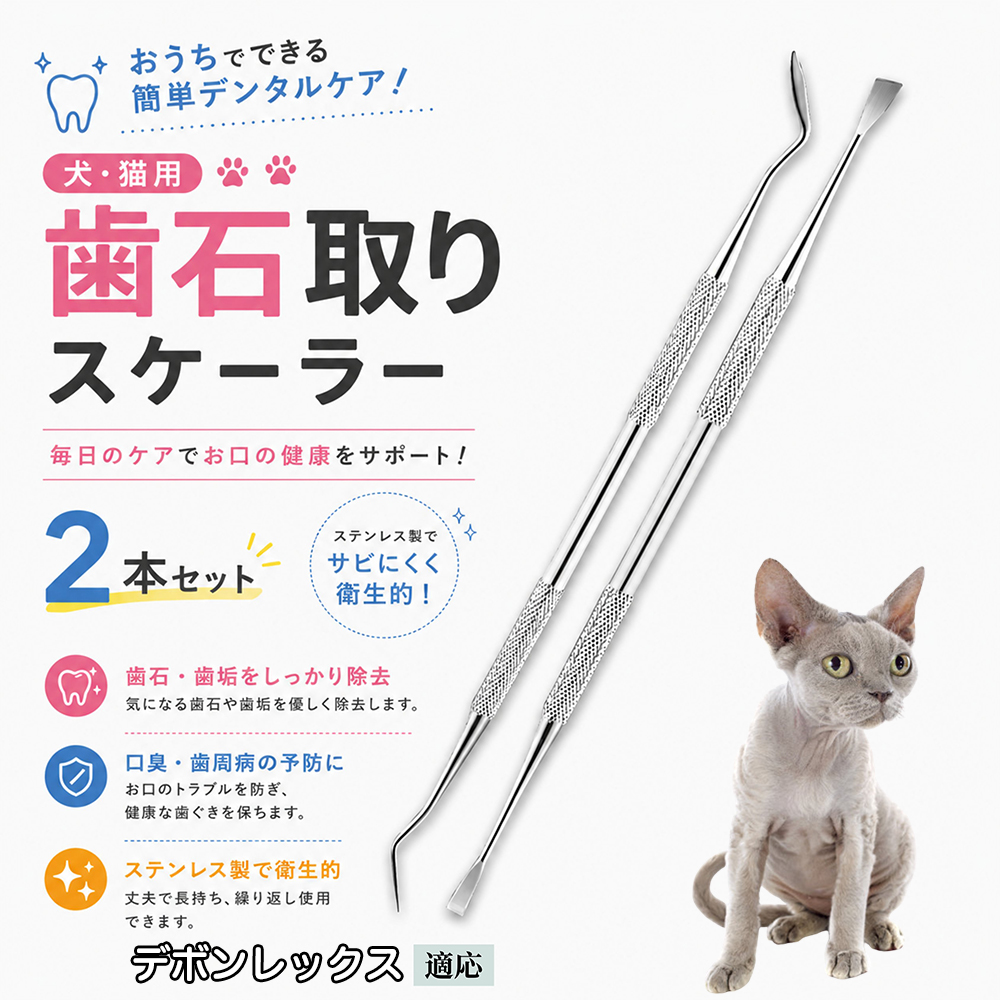 デボンレックス猫 デボン 犬 歯石取り スケーラー 犬用 2本セット 自宅