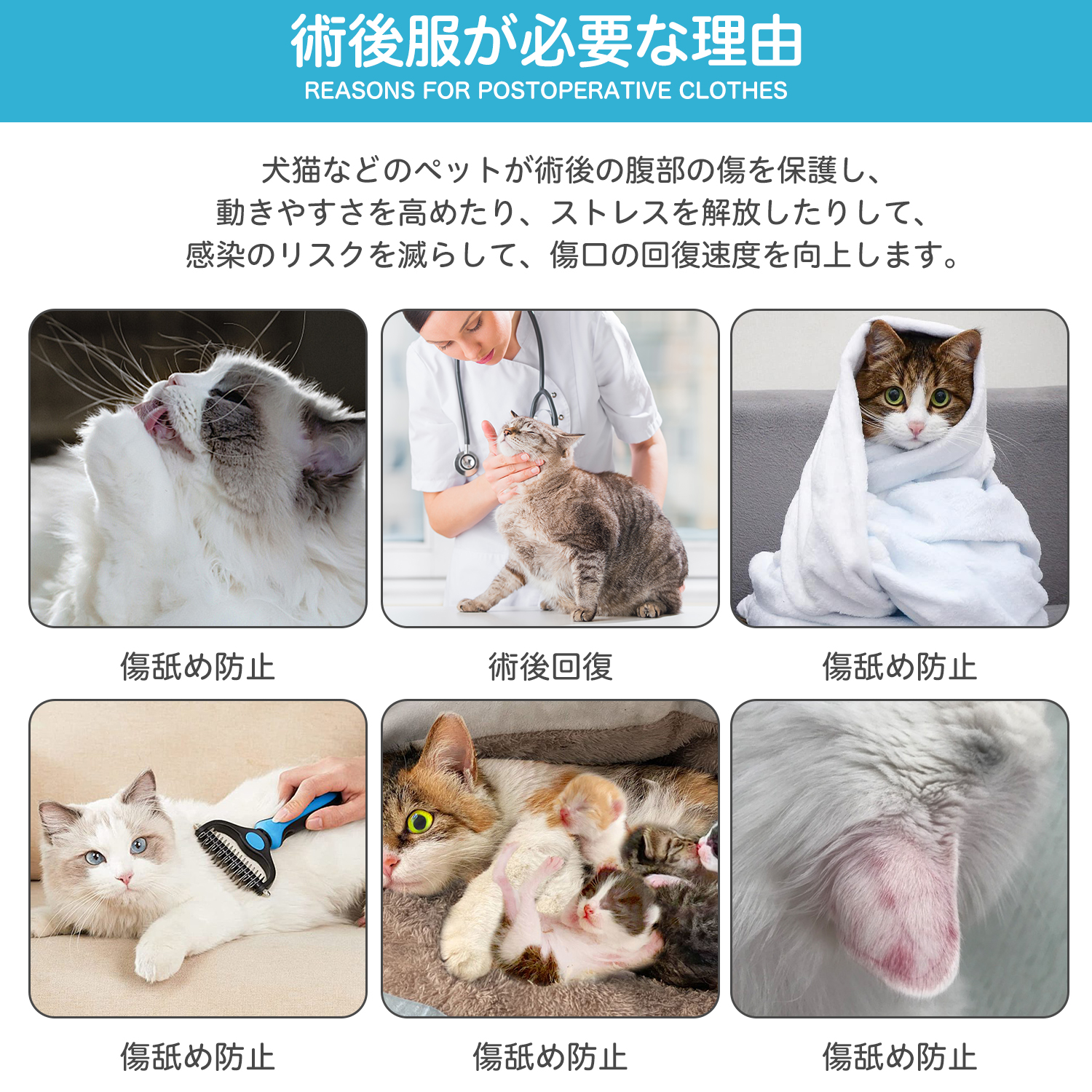 ロシアンブルー猫 ロシアン 猫用術後服 介護服 去勢避妊 手術着 通気性