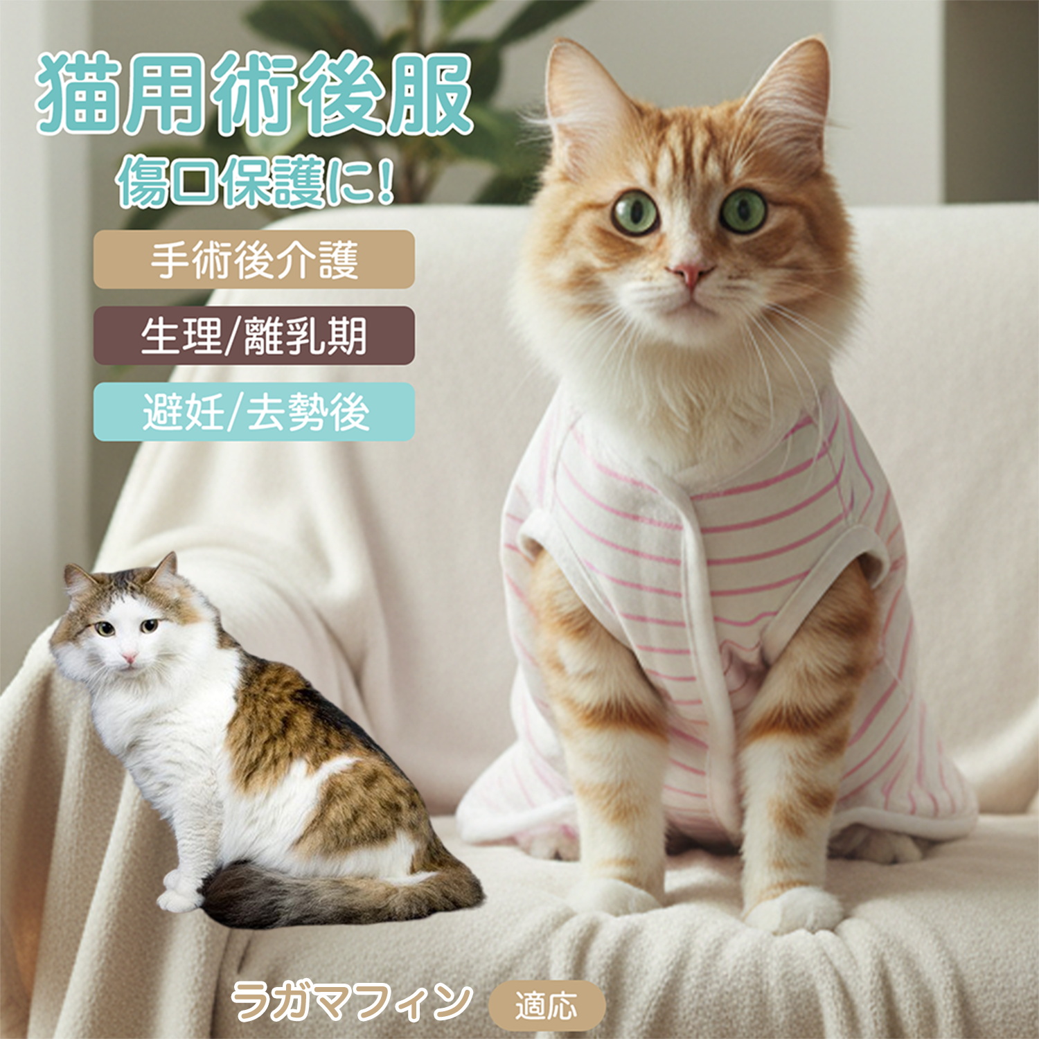 ラガマフィン猫 ラガマフィン 猫用術後服 介護服 去勢避妊 手術着 通気