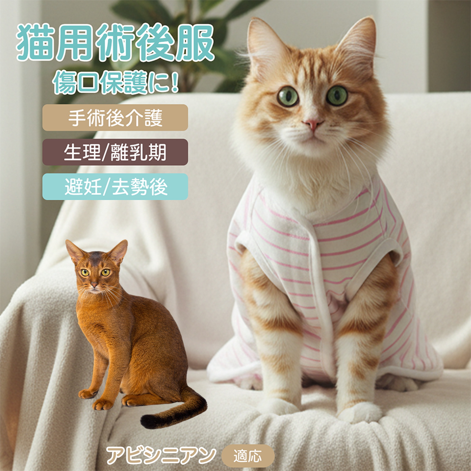 アビシニアン猫 アビ 猫用術後服 介護服 去勢避妊 手術着 通気性 袖