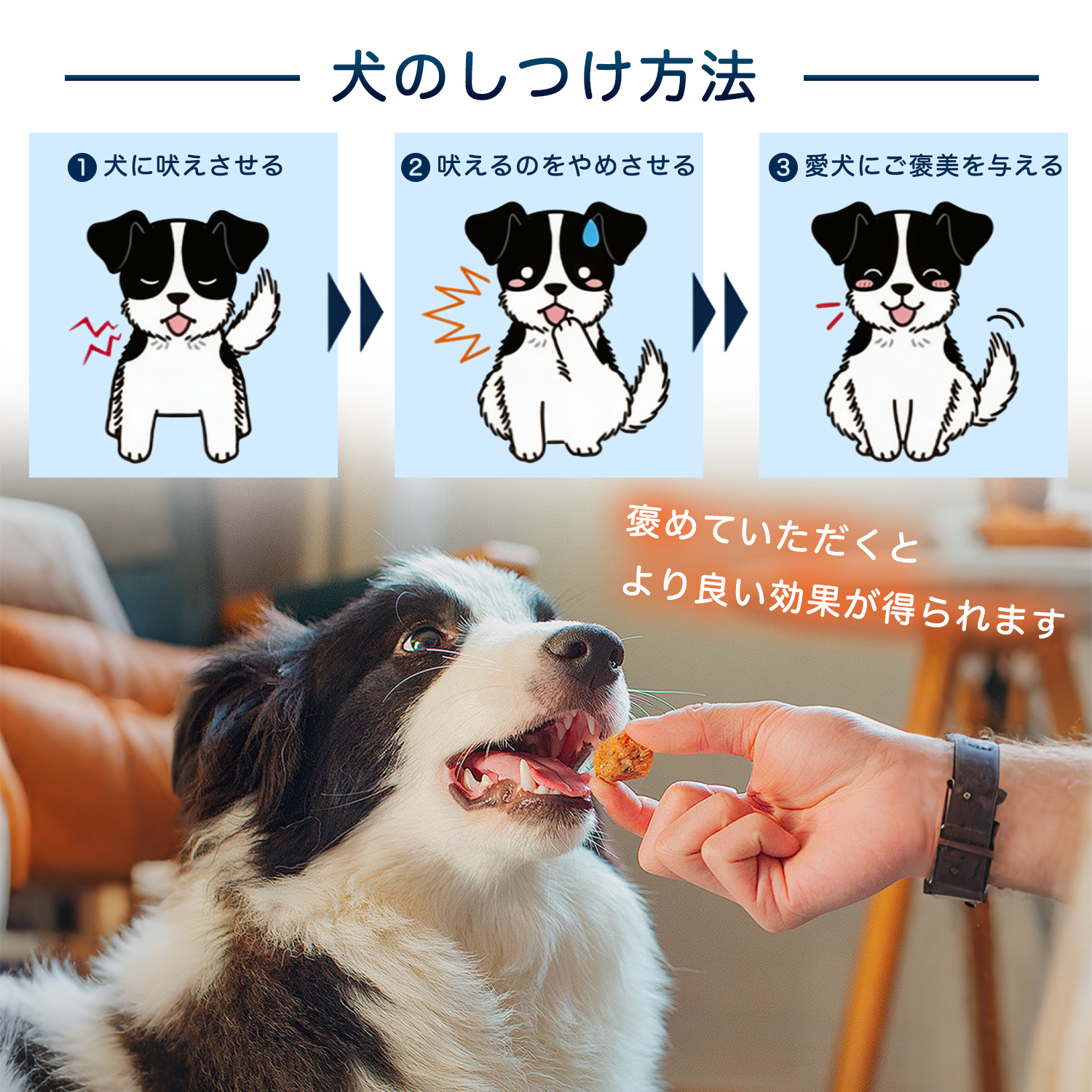 ドーベルマン犬種 ドーベル 無駄吠え防止首輪 犬用 しつけ首輪 自動 3