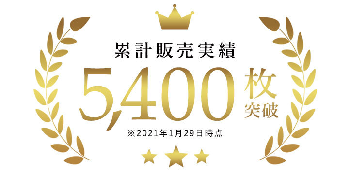 販売実績