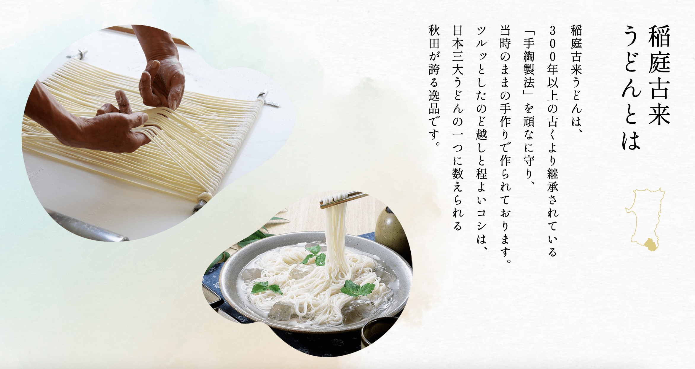 稲庭うどん チャック付き 800g 8人前 お試し 稲庭古来堂 稲庭