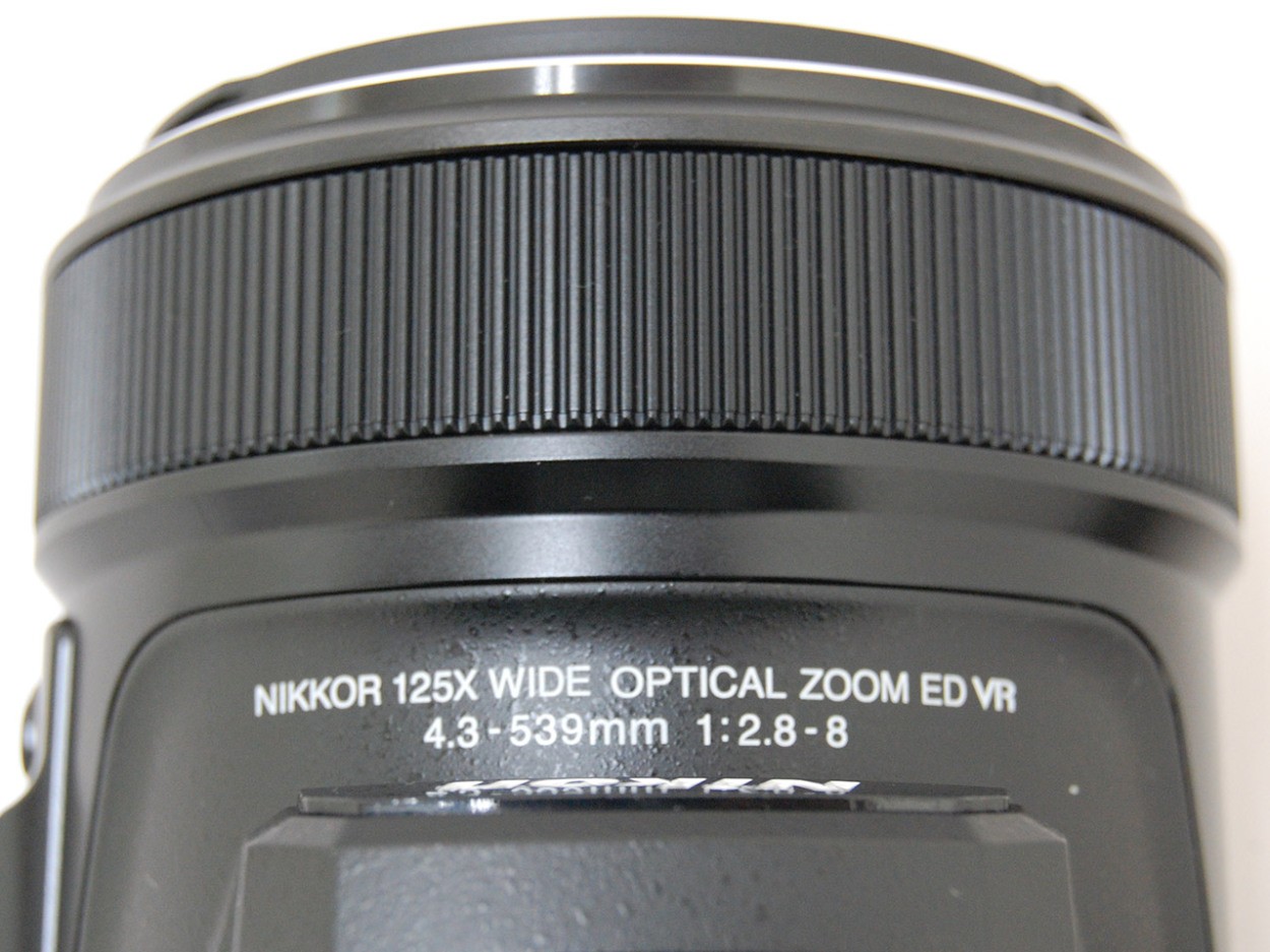 ニコン「COOLPIX P1000」で野鳥撮影＆作例も！【試用レポート】