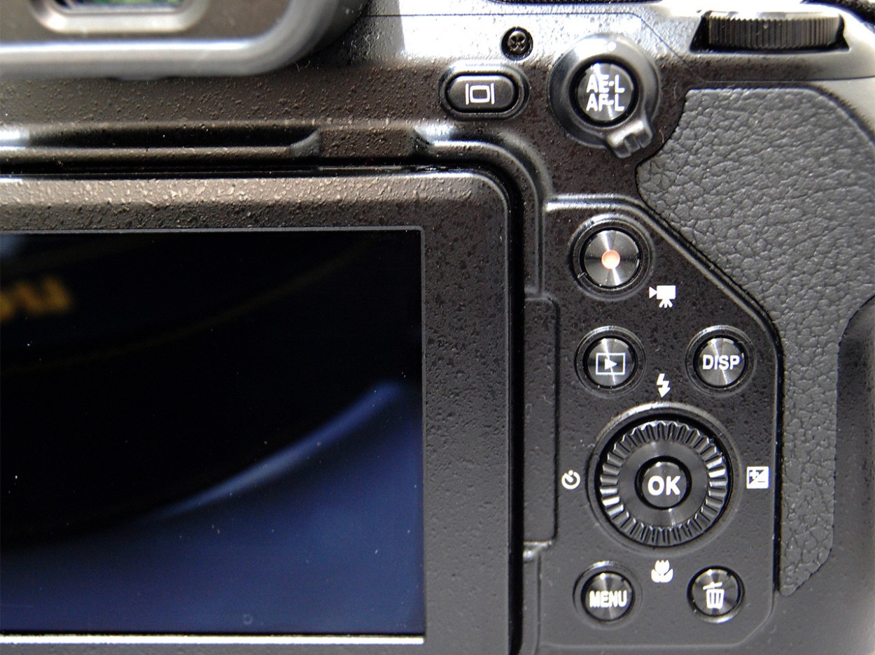 ニコン「COOLPIX P1000」で野鳥撮影＆作例も！【試用レポート】