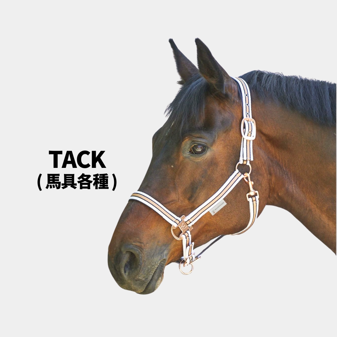 乗馬　馬具 馬具・乗馬用品・シューマッハ頭絡ヴァーレンドルフfeel good