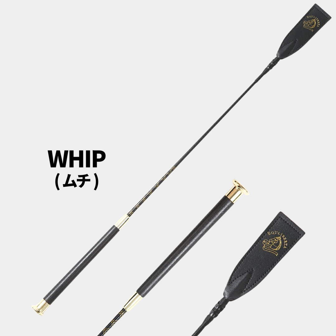 鞭（ムチ）