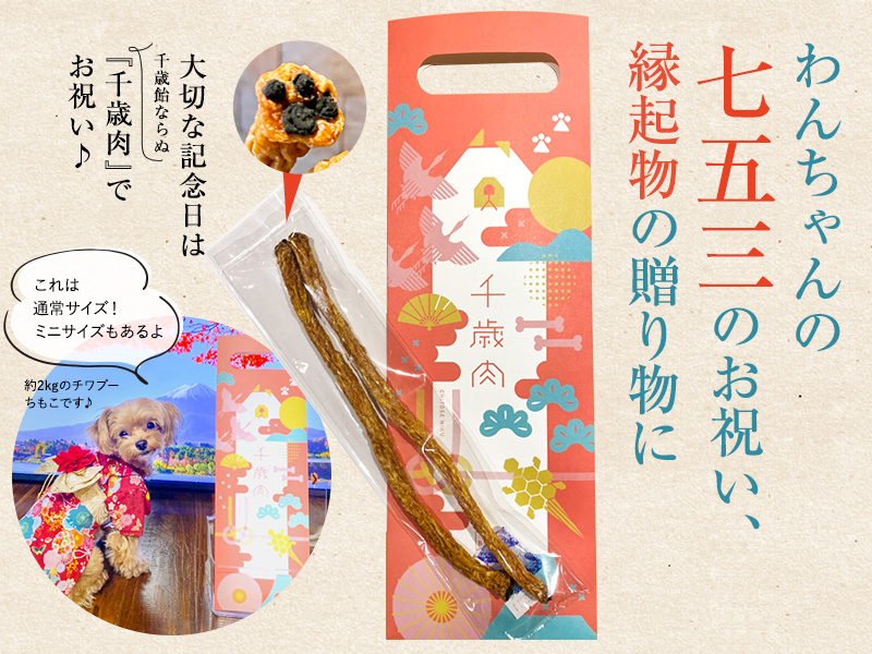 ジュイール - Yahoo!ショッピング