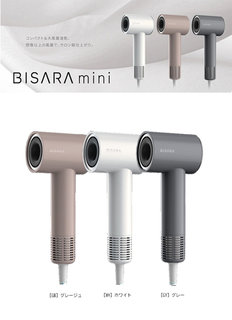 QUADS（クワッズ） BISARA mini ビサラ ミニ BLDCイオンドライヤー 大