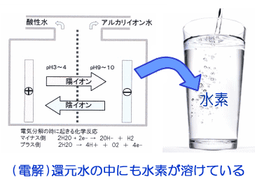 お手頃価格 購入後のフォローが違います 最大水素濃度1 6ppm 電解飽和水素水生成機 アキュエラブルー 健康家電 Www Brockgroup Com