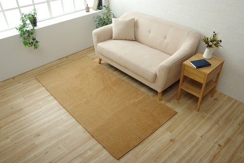 イケヒコ 洗える撥水加工ラグ モデルノ 1畳 90×185cm 送料無料 ラグ 撥