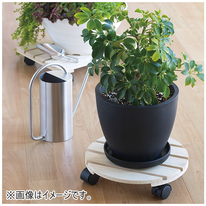シリンダージョーロ 送料無料 じょうろ 1600ml 水やり 水差し 植物