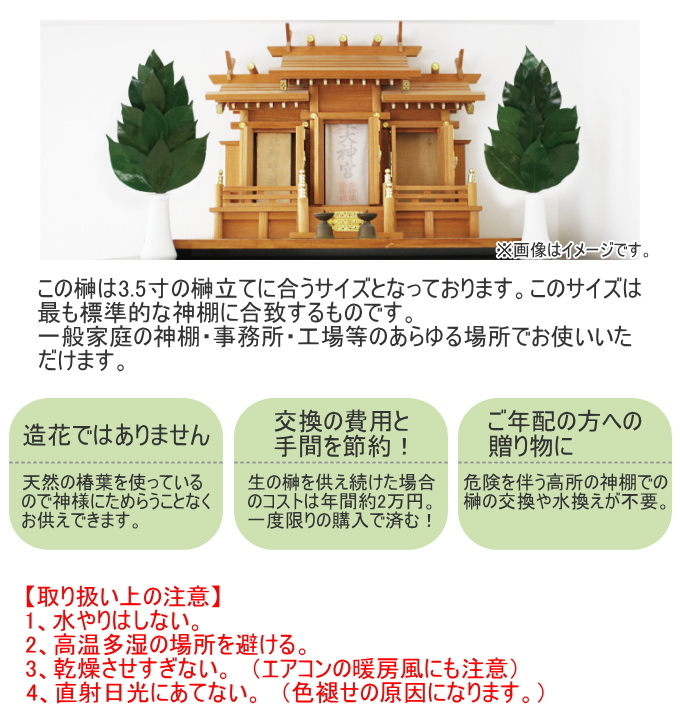 プリザーブド榊大 1対 KT-003 日本製 榊 さかき プリザーブド加工 2本組 神棚 神具 お供え 長持ち 仏具用品 家庭用品 : JOY ...