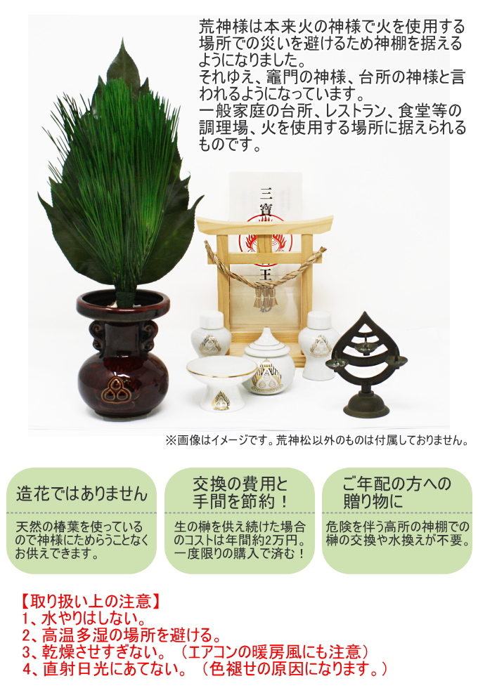プリザーブド荒神松大 1束 KT-004 日本製 榊 さかき プリザーブド加工 1束 荒神松 神棚 神具 お供え 長持ち 仏具用品 家庭用品 ...