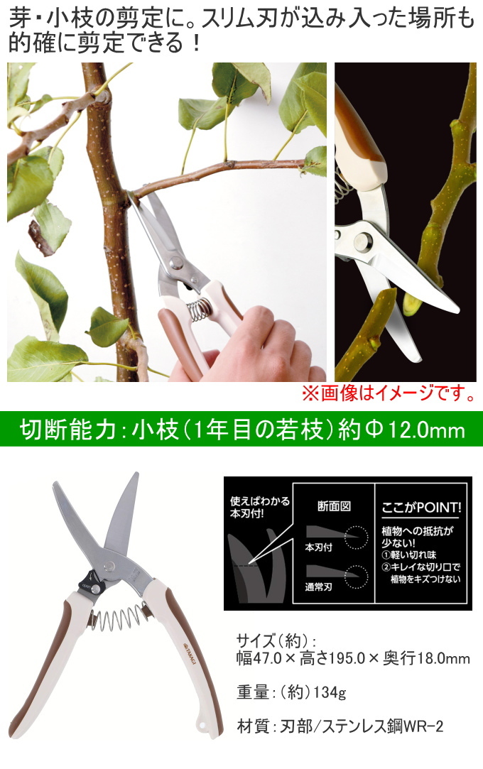 五代金光別政 金光 植木鋏 剪定鋏 刃長 高儀（TAKAGI） 本刃付ステンレスR刃芽切剪定鋏 200mm 日本製 園芸