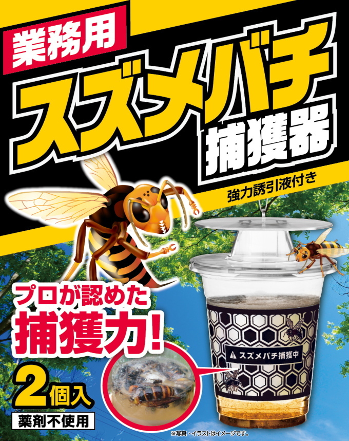 suzumebachi-top.jpg?size=n