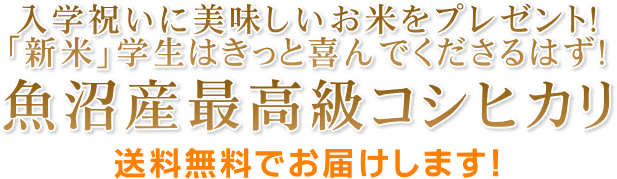 魚沼産コシヒカリ