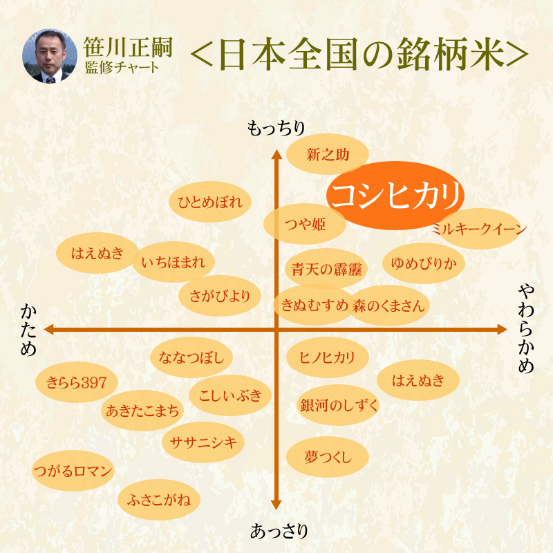 新潟コシヒカリ 無洗米 30kg(10kg×3袋)／新米 米 お米 新潟 コシヒカリ