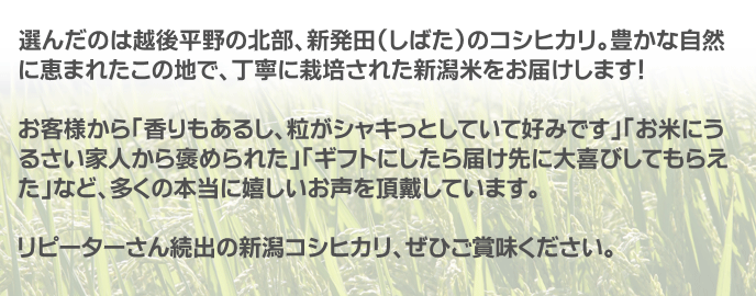 リピーターさん続出の新潟コシヒカリ