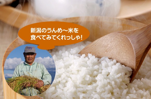 美味しい新潟米を食べてみてくれっしゃ！