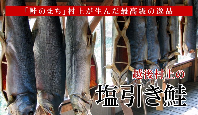 塩引き鮭 半身 姿造り／新潟 村上 鮭 ギフト 塩引鮭 特産品 名産品