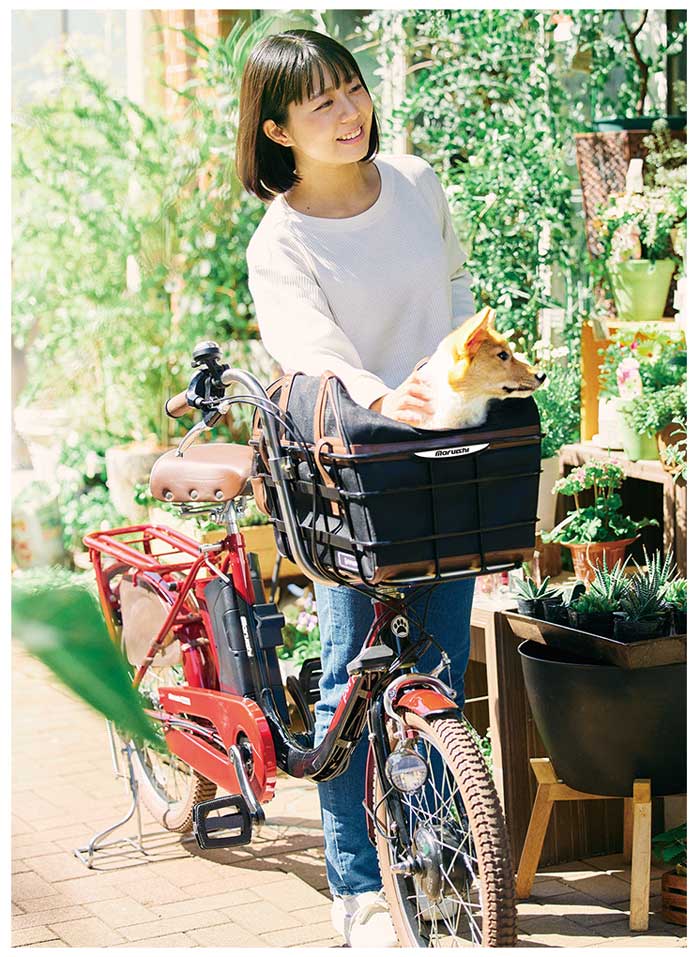 【在庫限り】 丸石サイクル ペットを乗せられる 電動アシスト自転車 マルイシ レディースウェア