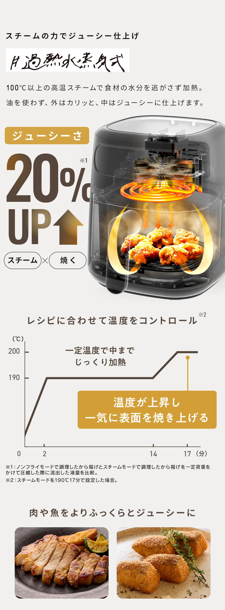 IRIS OHYAMA（アイリスオーヤマ） 電気フライヤー 3L 家庭用 スチーム