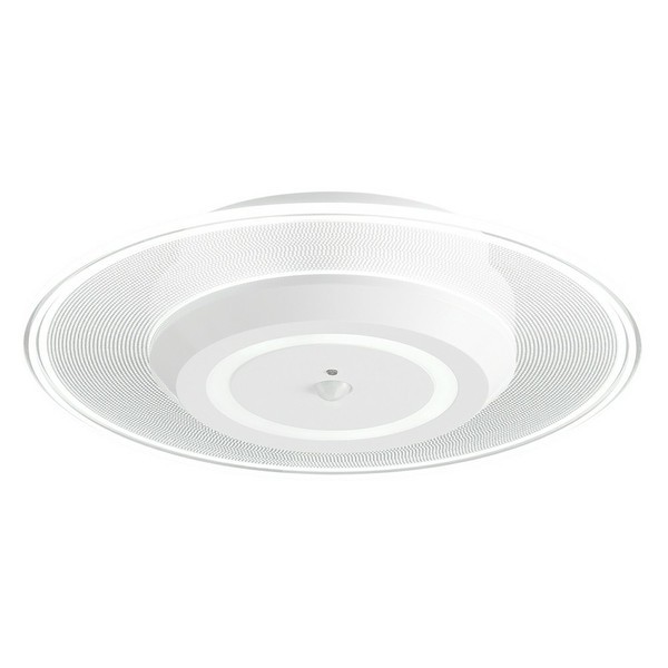 IRIS OHYAMA（アイリスオーヤマ） シーリングライト 小型 LED