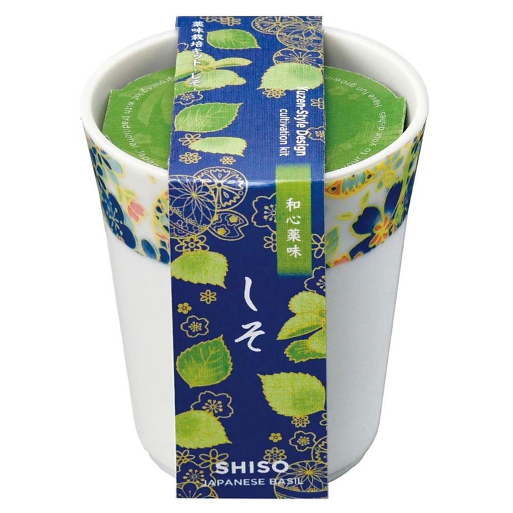 栽培キット栽培セットしそとうがらしみつ葉聖新陶芸【3種セット】和心薬味 