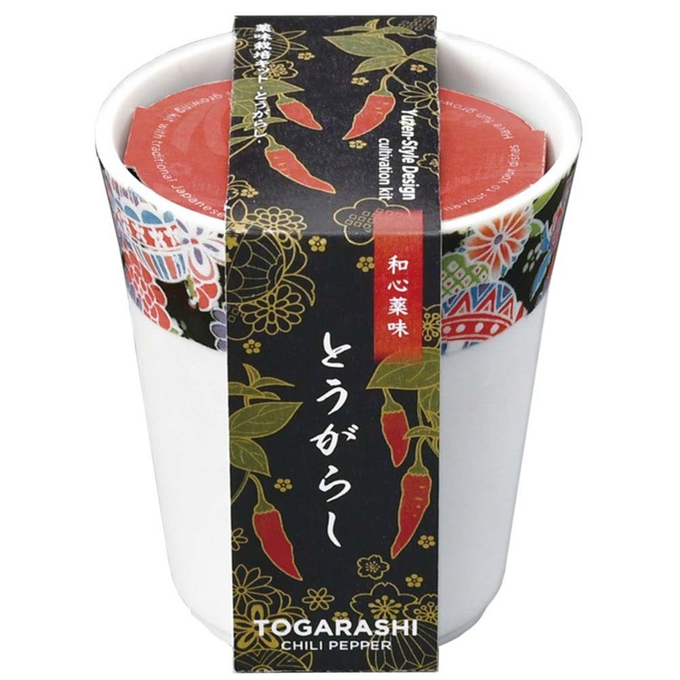 栽培キット栽培セットしそとうがらしみつ葉聖新陶芸【3種セット】和心薬味 