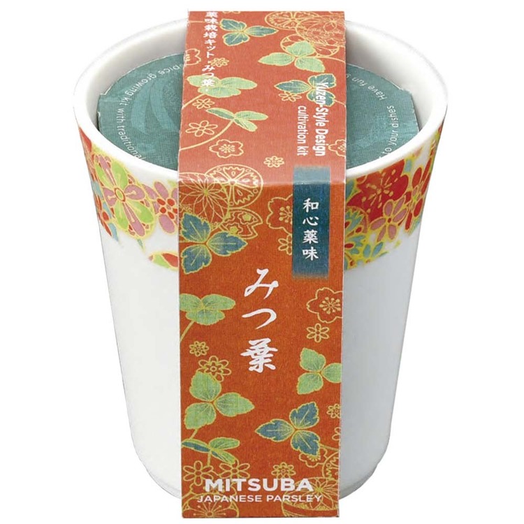 栽培キット栽培セットしそとうがらしみつ葉聖新陶芸【3種セット】和心薬味 