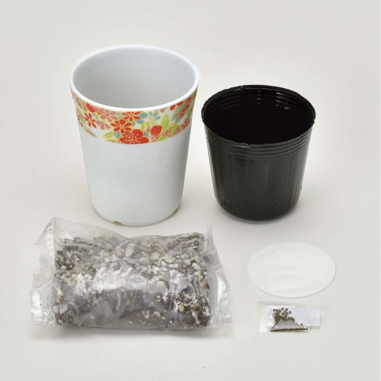 栽培キット栽培セットしそとうがらしみつ葉聖新陶芸【3種セット】和心薬味 