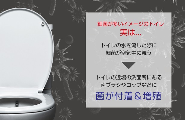 Joyplus 歯ブラシ 除菌 ケース コードレス 専用 歯磨き粉 ケース 小型 携帯 旅行 コンパクト Uv Led 充電 ジョイプラス Jjn L1 Joyplus ジョイプラス 通販 Yahoo ショッピング Joyplus 歯ブラシ 除菌 ケース コードレス 専用 歯磨き粉 ケース 小型 携帯 旅行 コンパクト Uv Led 充電 ジョイプラス Jjn L1 Joyplus ジョイプラス 通販 Yahoo ショッピング
