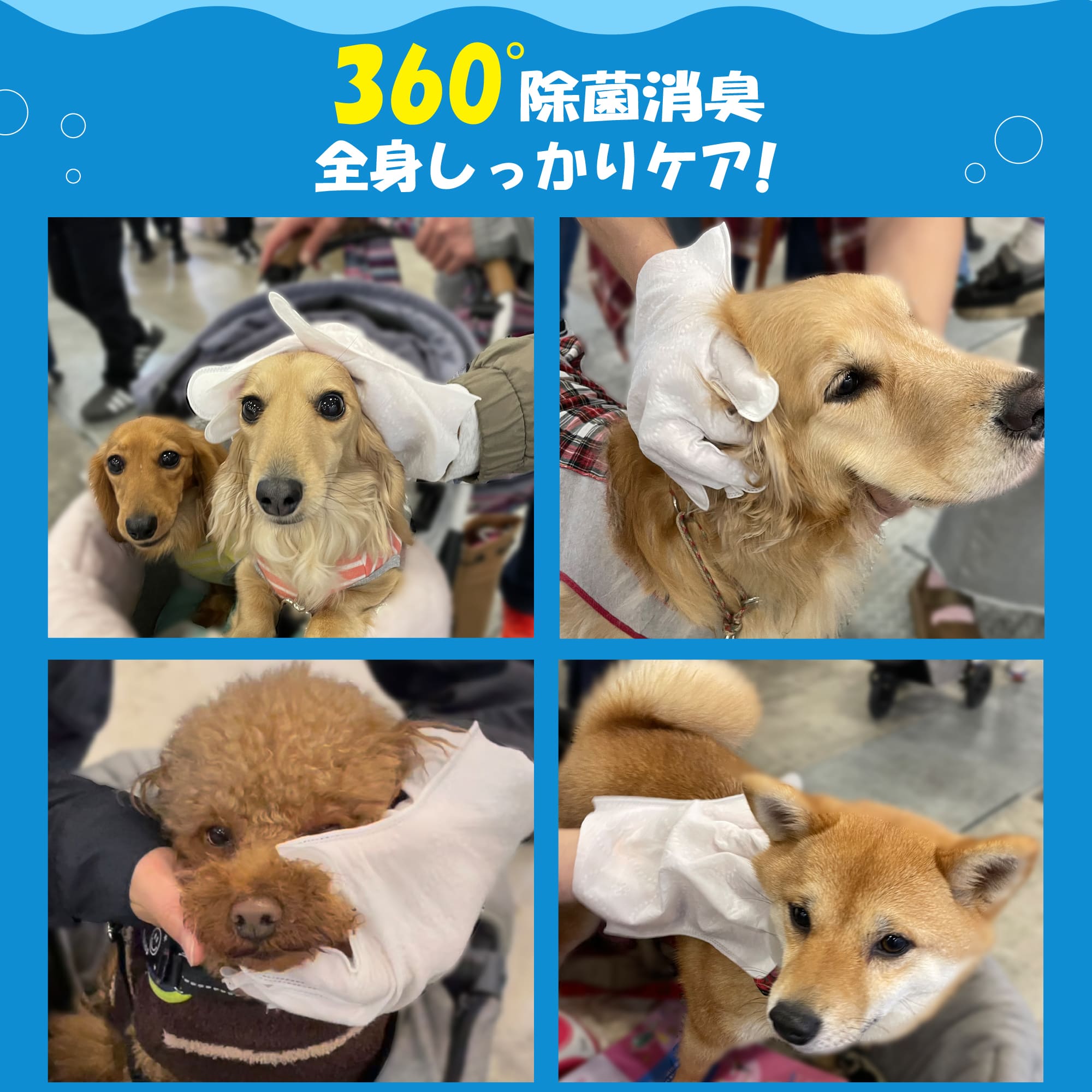 ペットボディケア手袋