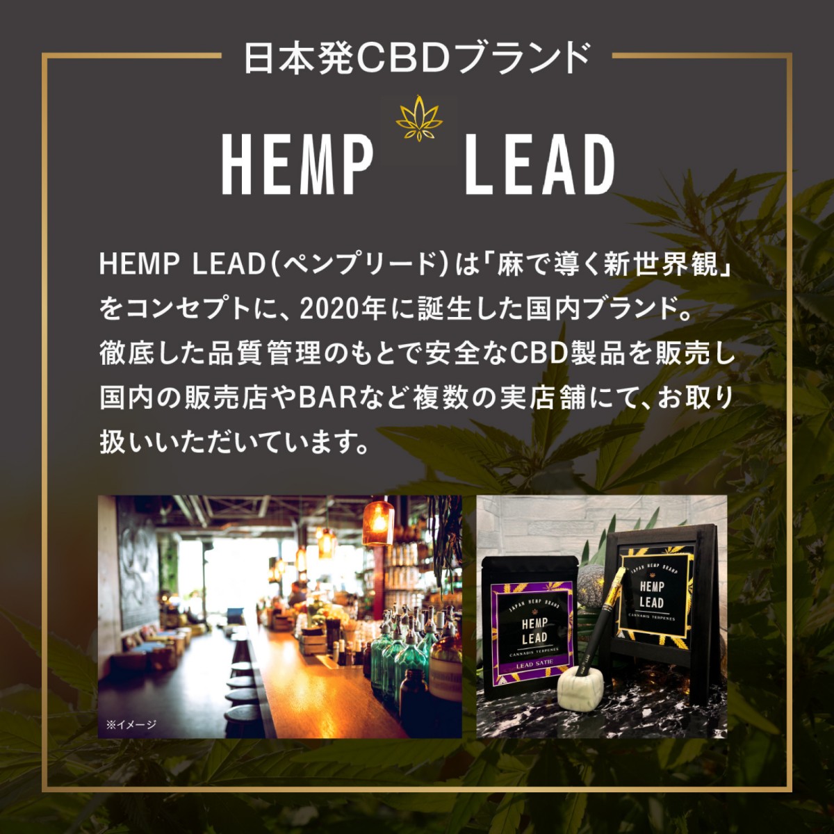 H4 CBD ベイプ デバイスセット 0.5ml すぐ使える 超高濃度 95% cbd cbdv cbn cbg cbc ブロードスペクトラム リキッド 510規格 電子タバコ HEMPLEAD ヘンプリード｜jpnstore｜14