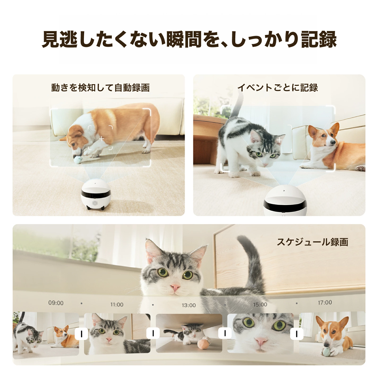 ROLA Mini ペットカメラ 2K高画質 見守りロボット 自走式 WiFi 5GHz