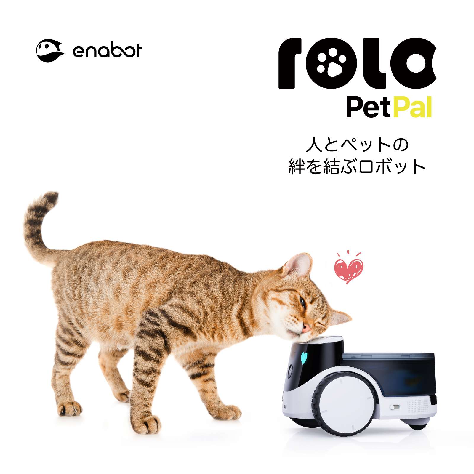 ペットカメラ 犬 猫 見守りカメラ ROLA PetPal iphone対応 ペット専用 ロボット iphone対応 スマホ対応 通話 録画  Enabot : enabot-rola : JPStars Online Shop - 通販 - Yahoo!ショッピング