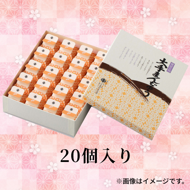 和菓子 ギフト まんじゅう 饅頭 お取り寄せ 大手まんぢゅう20個入