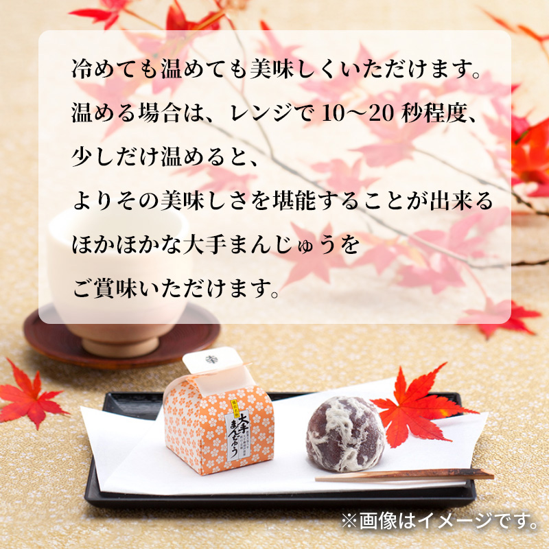 和菓子 ギフト まんじゅう 饅頭 お取り寄せ 大手まんぢゅう20個入