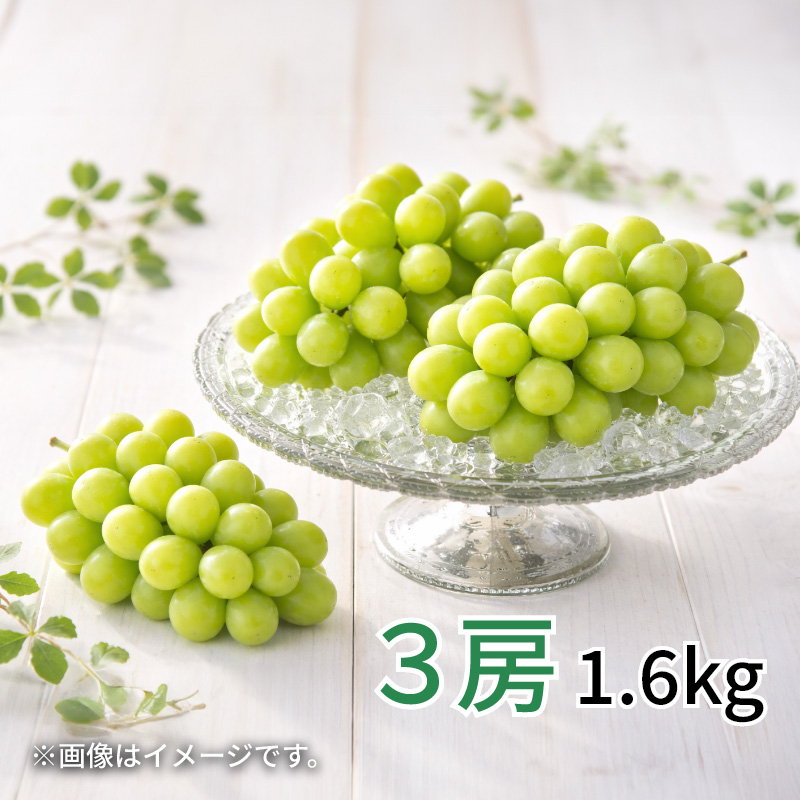 シャインマスカット3房（1．6kg） : 郵便局物販サービスYahoo!店