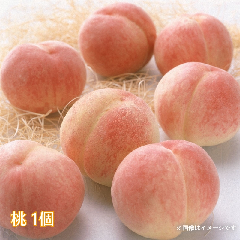 夏の果物6品詰合せ 送料込み : 郵便局物販サービスYahoo!店 - 通販