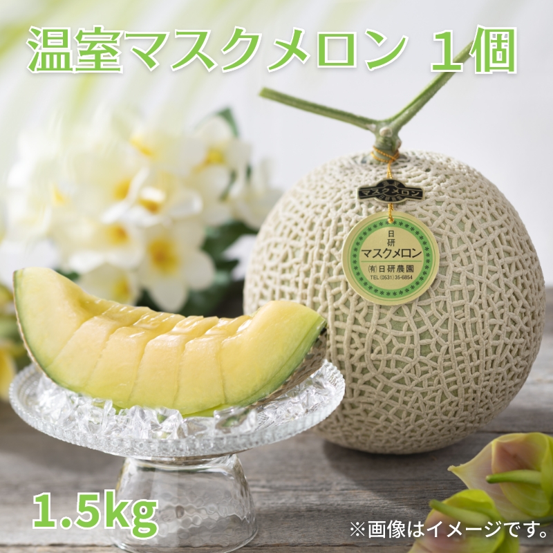 温室マスクメロン1個 送料込み : 郵便局物販サービスYahoo!店 - 通販