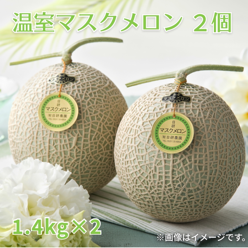 マスクメロン2個 温室マスクメロン2個 送料込み : 郵便局物販サービスYahoo!店 - 通販