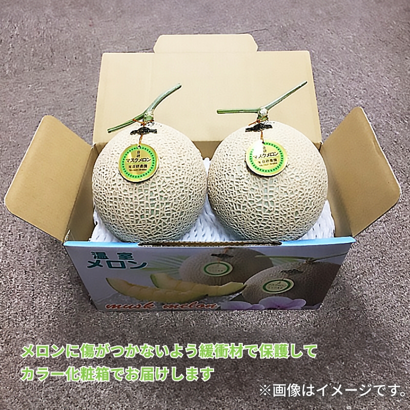温室マスクメロン2個 送料込み 爆買 : 郵便局物販サービスYahoo!店