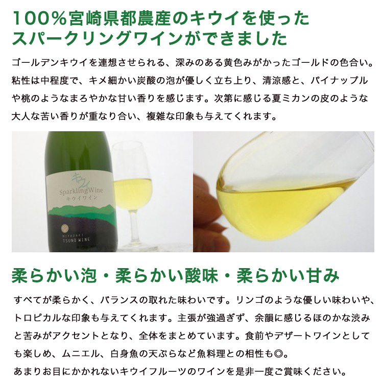 九州 ギフト 2026 都農ワイン スパークリングワイン キウイ 750ml 化粧