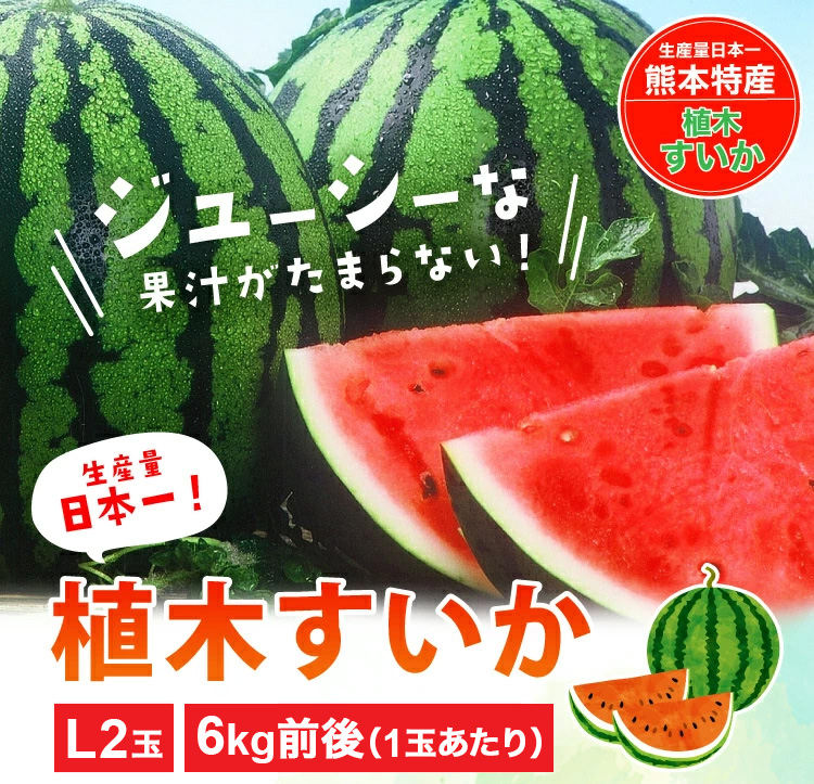 2024/9/11 今季終売】九州 ギフト 2025 すいか 熊本産 L2玉