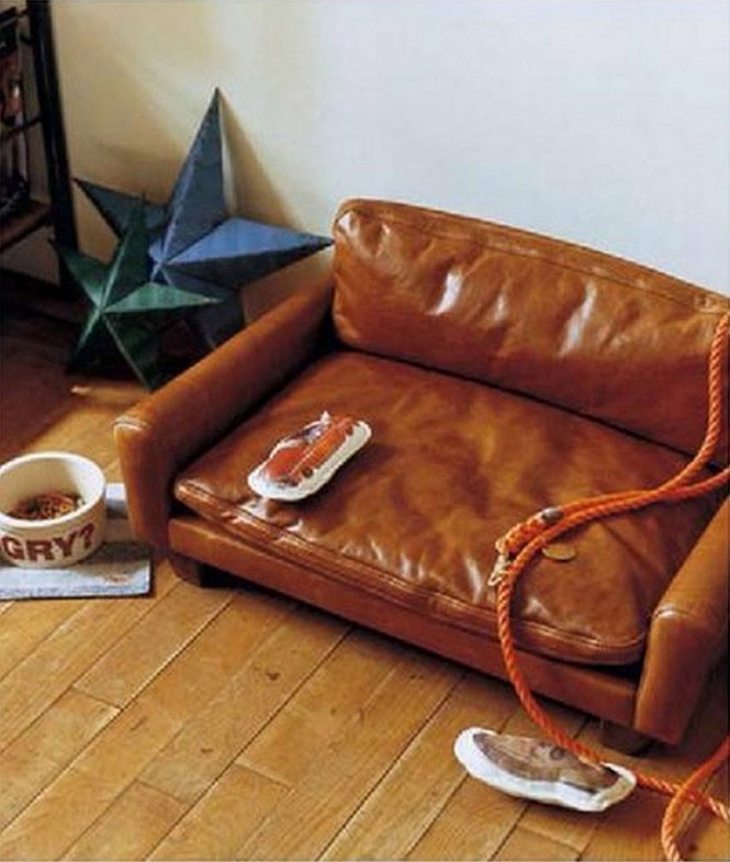 ACME Furniture Furnitureアクメファニチャー FRESNO for DOG